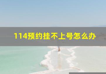 114预约挂不上号怎么办