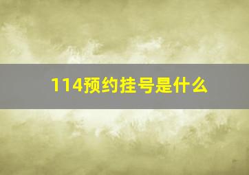 114预约挂号是什么