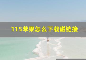 115苹果怎么下载磁链接