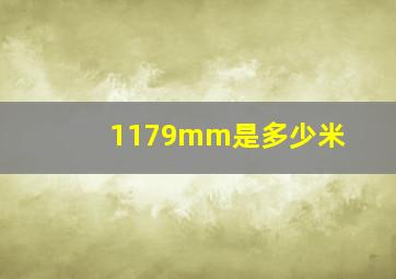 1179mm是多少米