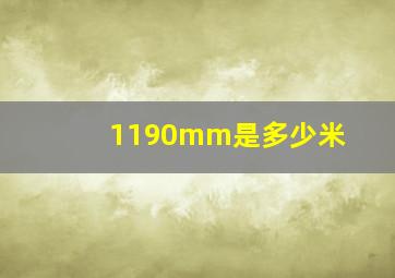 1190mm是多少米