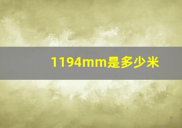 1194mm是多少米