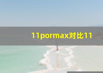 11pormax对比11