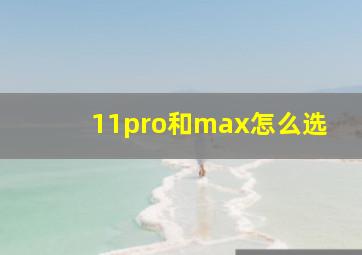 11pro和max怎么选