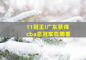 11冠王!广东获得cba总冠军在哪看