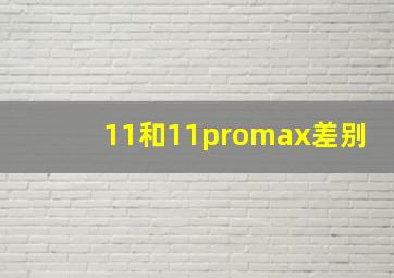 11和11promax差别