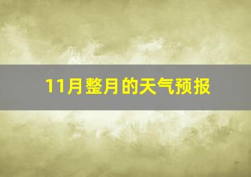 11月整月的天气预报