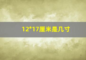 12*17厘米是几寸