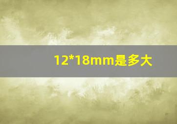 12*18mm是多大