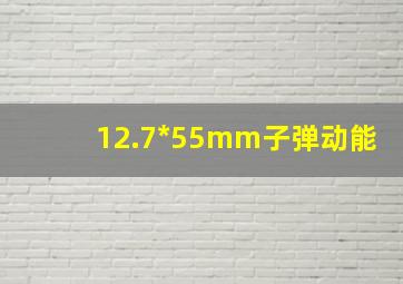 12.7*55mm子弹动能