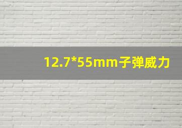 12.7*55mm子弹威力