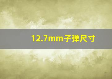 12.7mm子弹尺寸