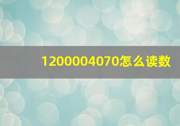 1200004070怎么读数