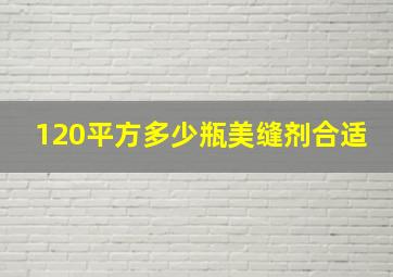 120平方多少瓶美缝剂合适