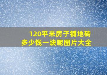 120平米房子铺地砖多少钱一块呢图片大全