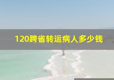 120跨省转运病人多少钱