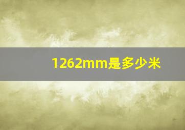 1262mm是多少米