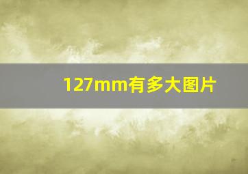 127mm有多大图片