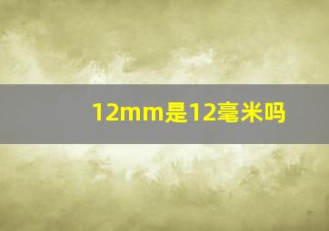 12mm是12毫米吗