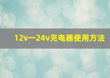 12v一24v充电器使用方法