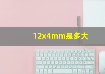 12x4mm是多大