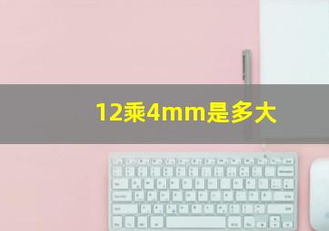 12乘4mm是多大