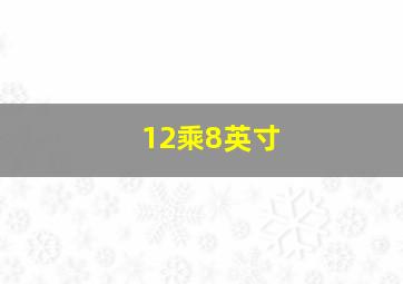 12乘8英寸