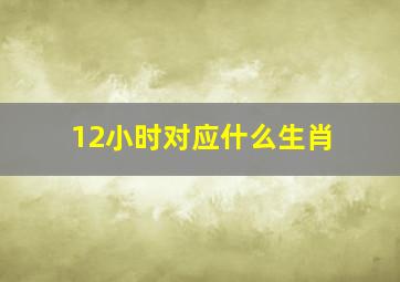 12小时对应什么生肖