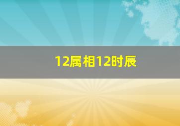 12属相12时辰