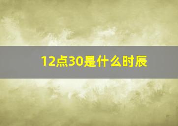 12点30是什么时辰