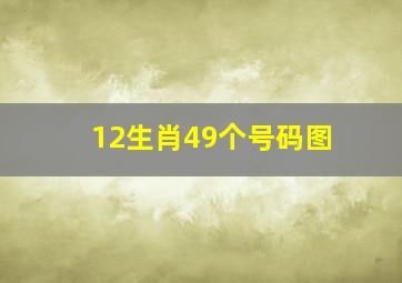 12生肖49个号码图