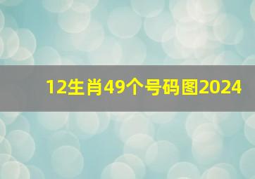 12生肖49个号码图2024