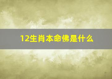 12生肖本命佛是什么