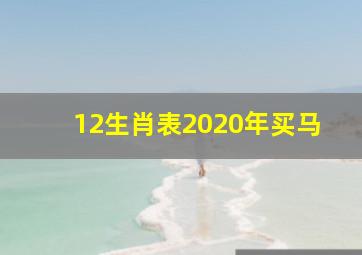 12生肖表2020年买马