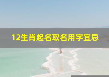 12生肖起名取名用字宜忌