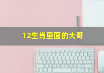 12生肖里面的大哥