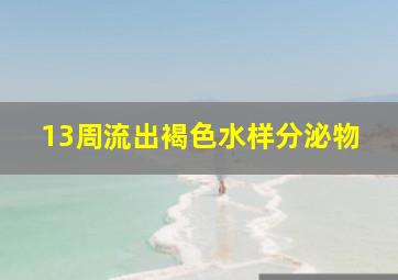 13周流出褐色水样分泌物