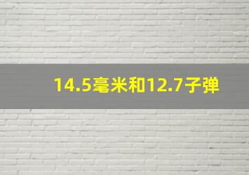 14.5毫米和12.7子弹