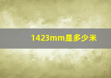 1423mm是多少米