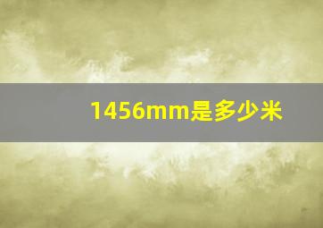 1456mm是多少米