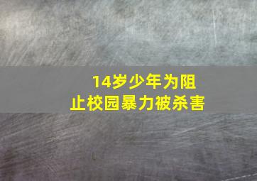 14岁少年为阻止校园暴力被杀害