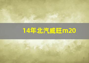 14年北汽威旺m20