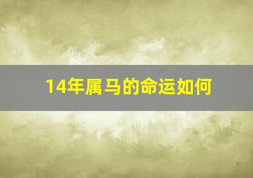 14年属马的命运如何