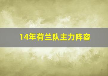 14年荷兰队主力阵容