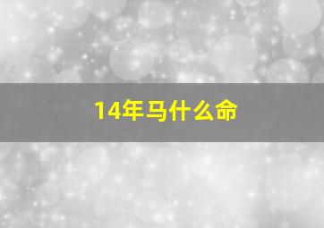 14年马什么命