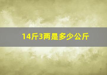 14斤3两是多少公斤