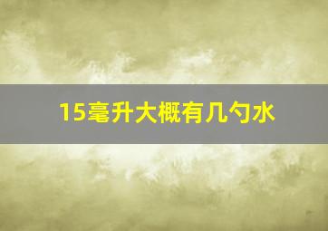 15毫升大概有几勺水