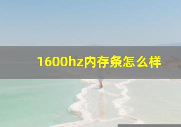 1600hz内存条怎么样