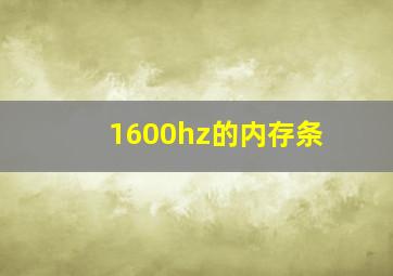 1600hz的内存条