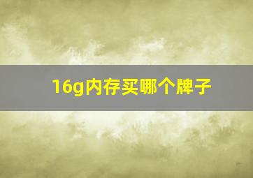 16g内存买哪个牌子